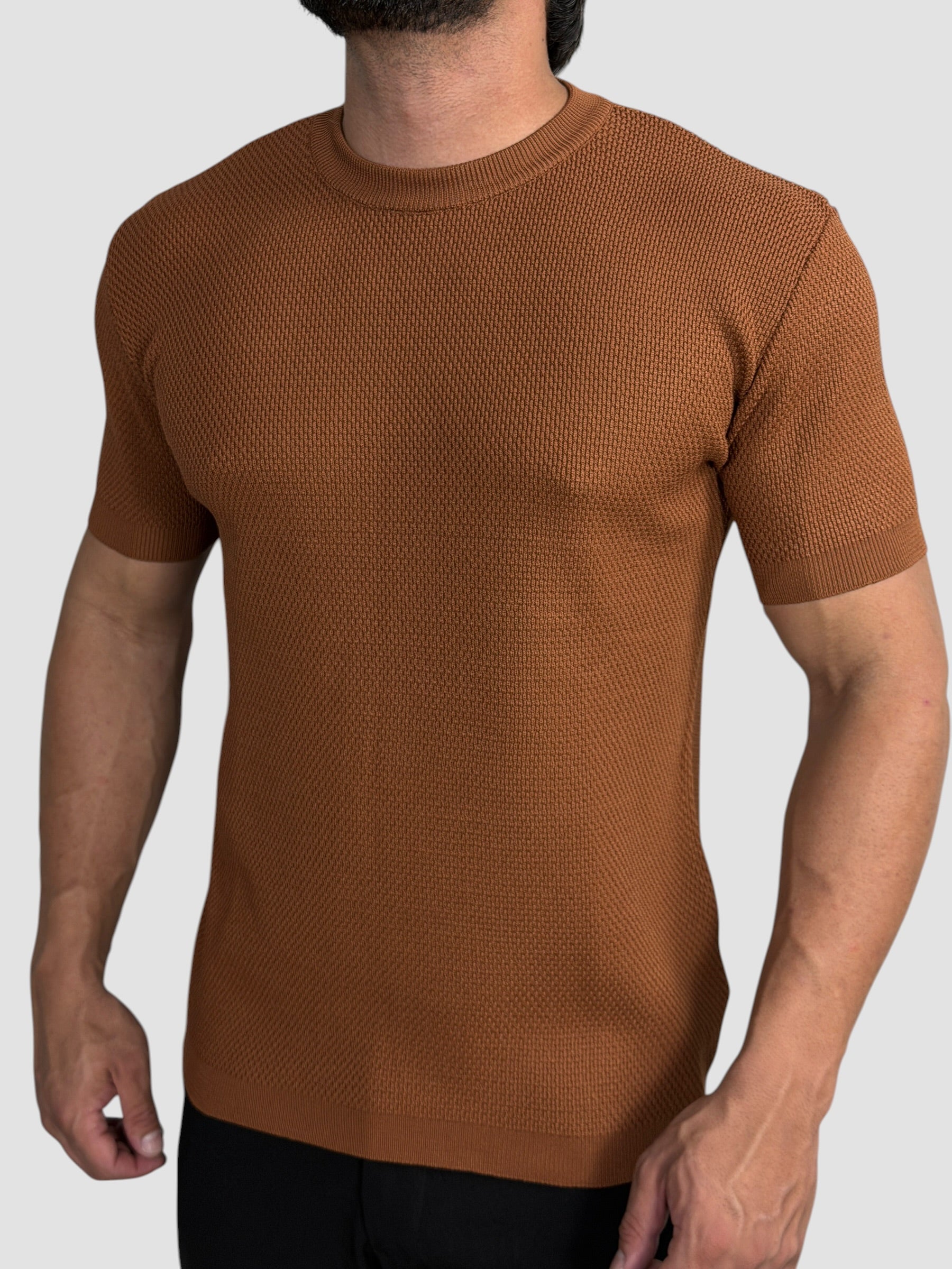 CAMISETA TRICO TEXTURE CASTANHO ZIGMA